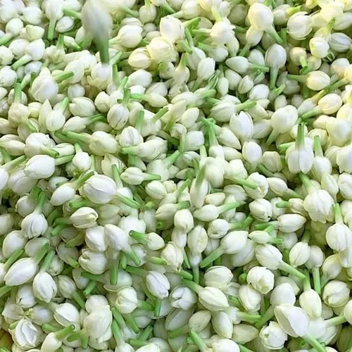 Pure Attar Phool